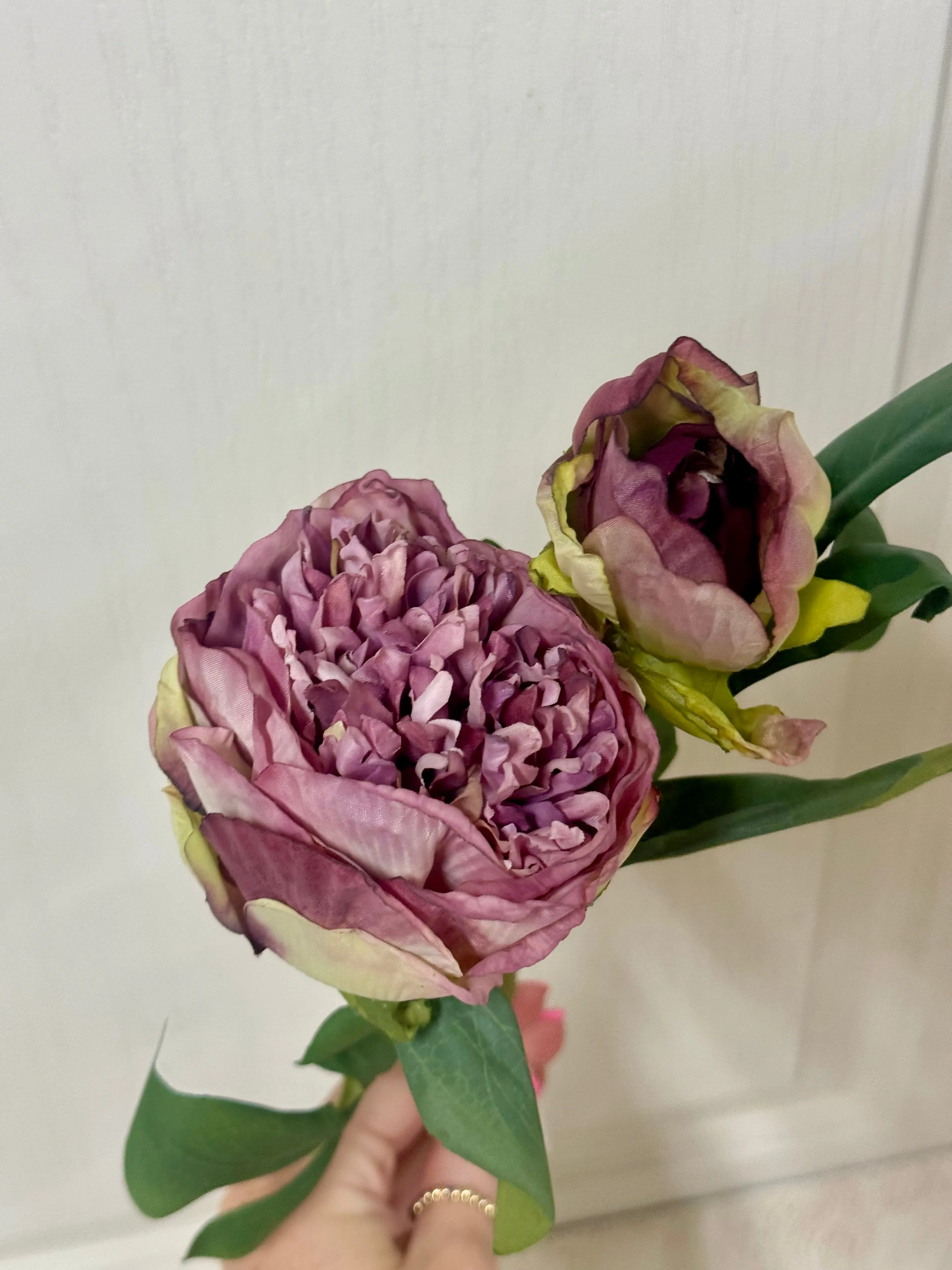 19 Inch Lavender Peony Stem