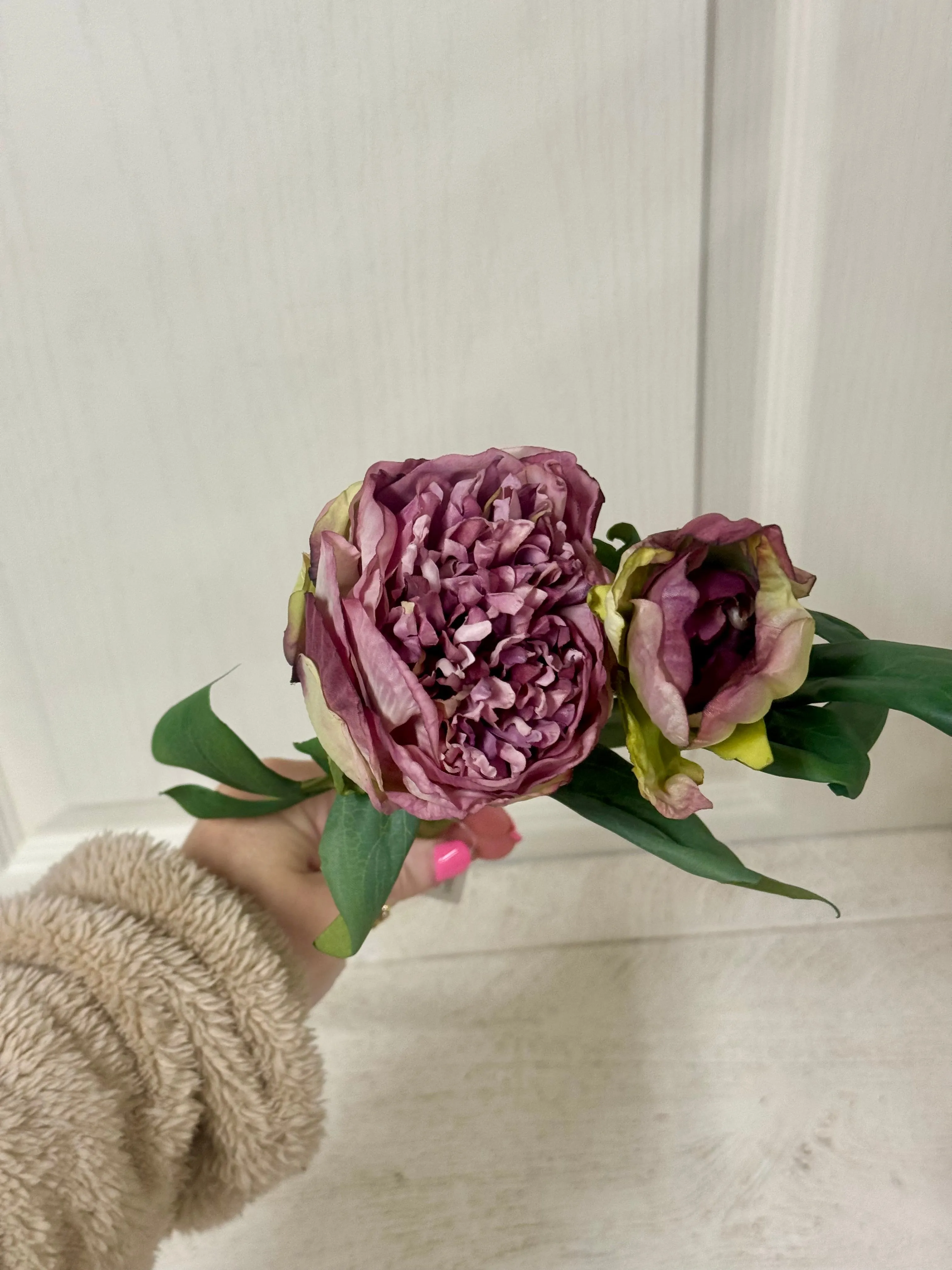19 Inch Lavender Peony Stem