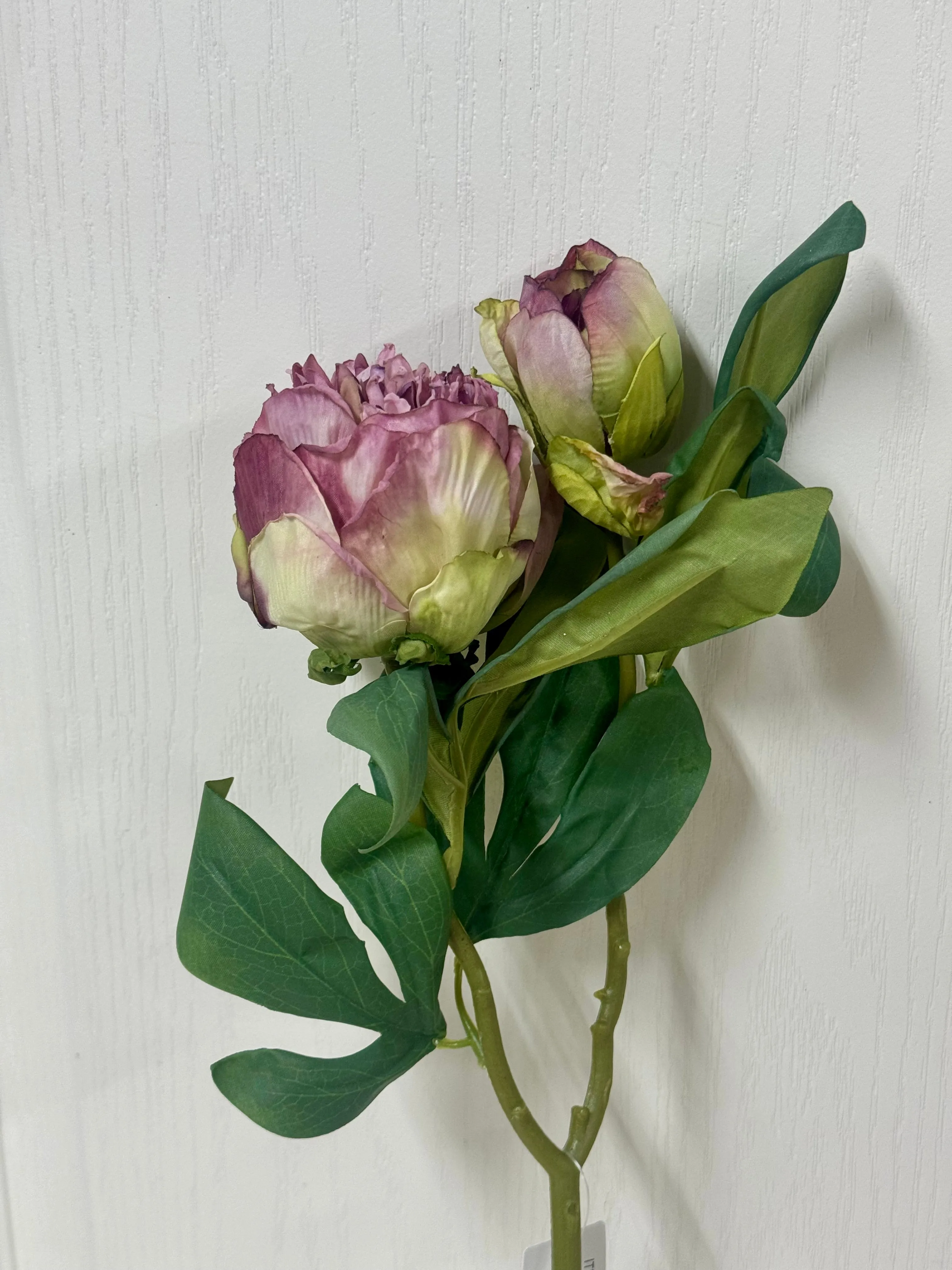 19 Inch Lavender Peony Stem