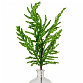 28" Norfolk Pine Spray: Green