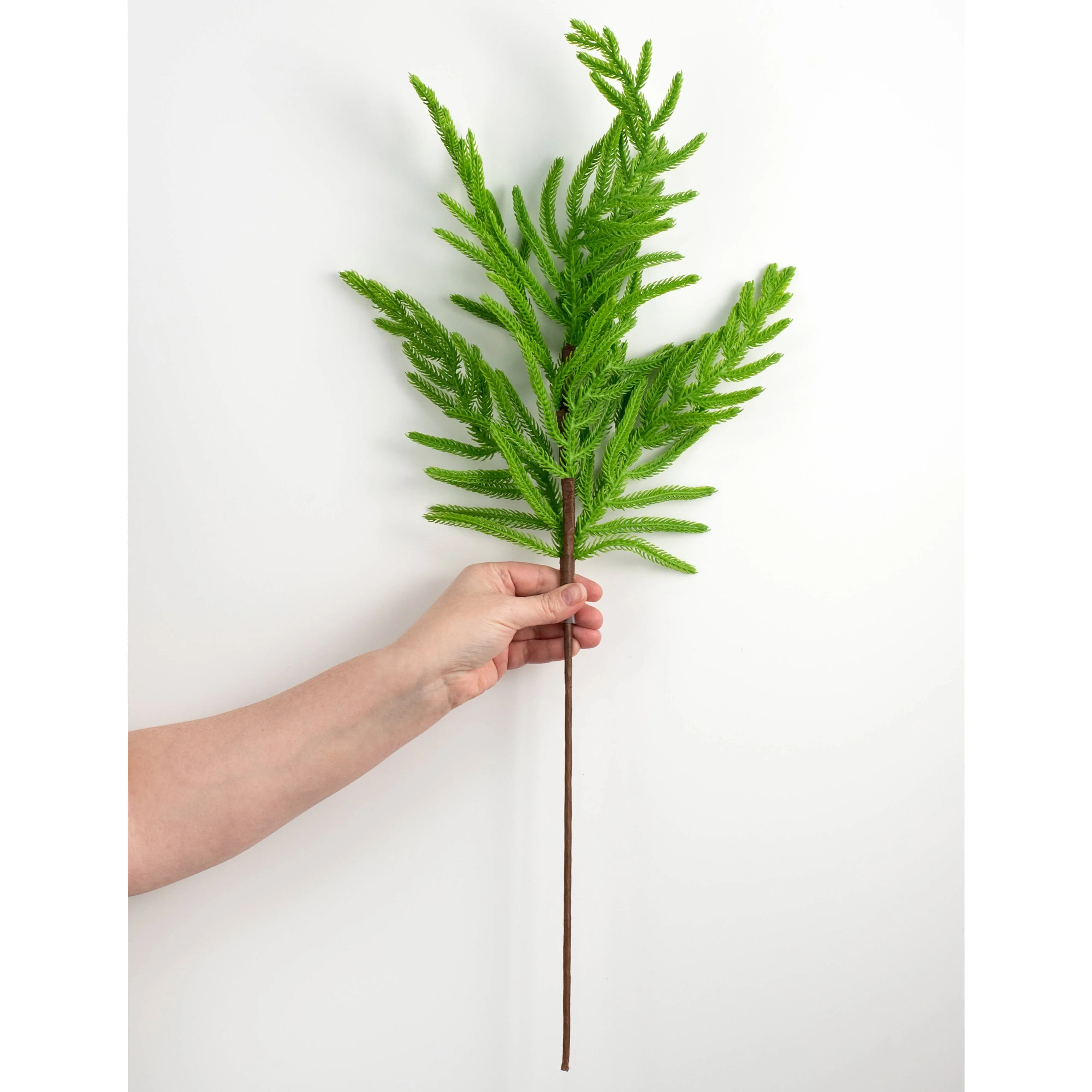28" Norfolk Pine Spray: Green