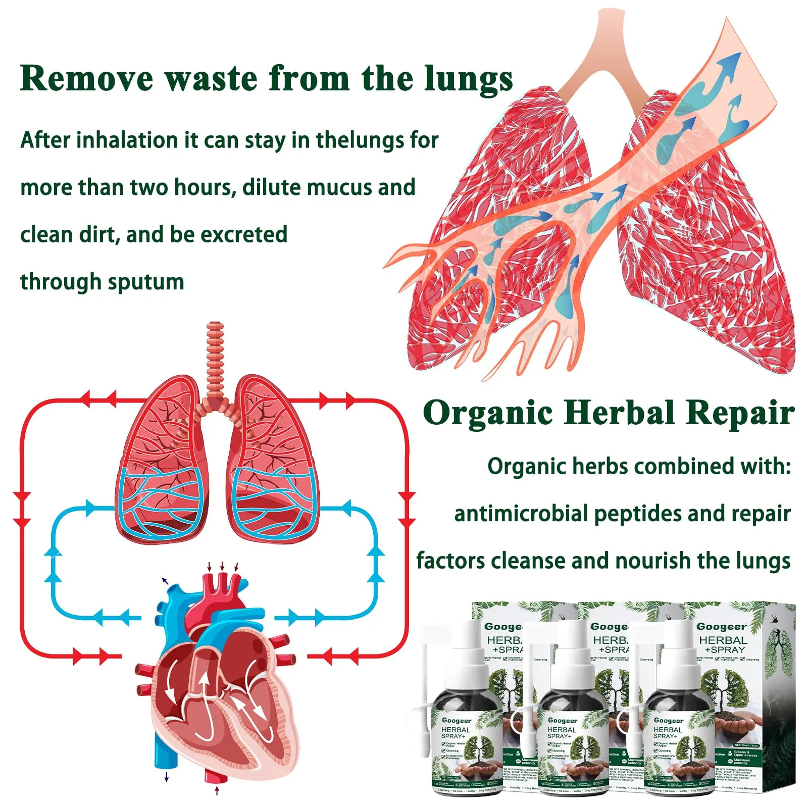 3 Pcs Lung Cleansing Respinature Herbal Spray Cleansing Lung Lung Spray Respi Nature Herbal Spray Herbal Lung Cleansing Spray Herbal Lung Cleanse Lungwort Lungwort Nasal Spray