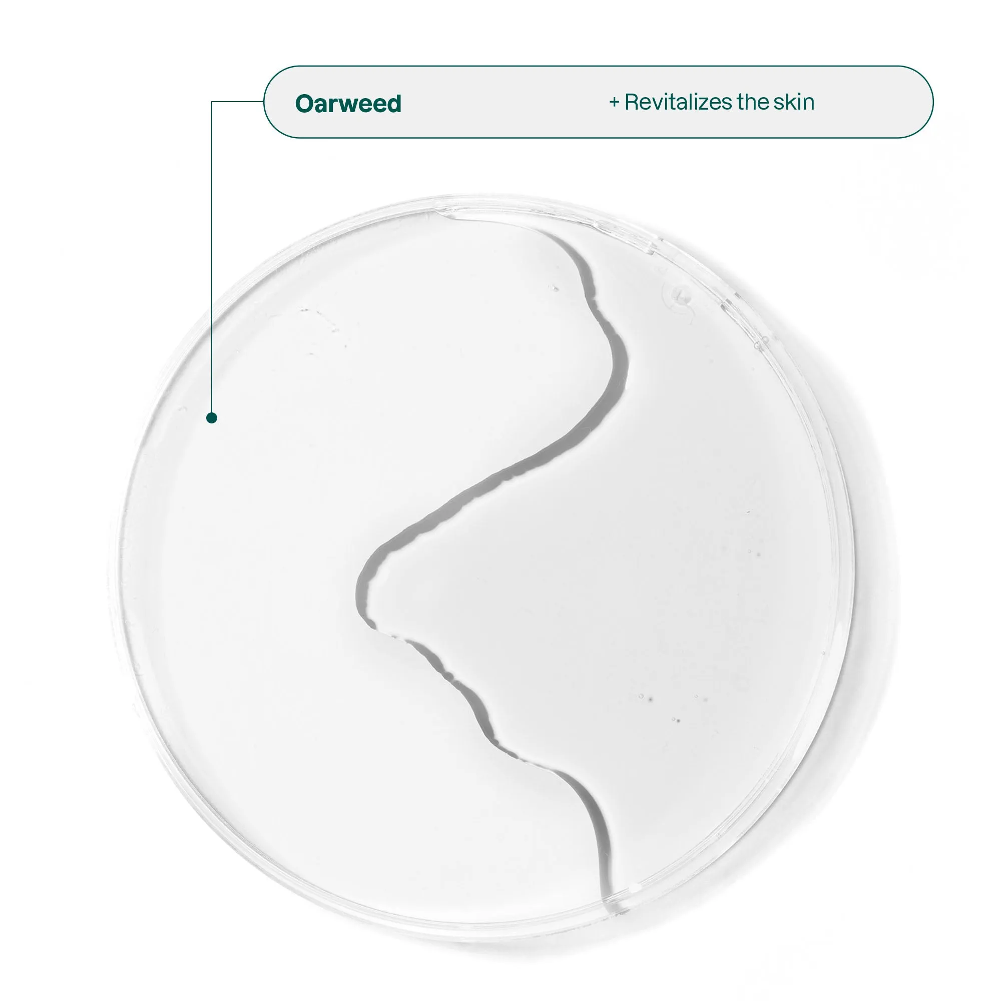 Solid Face Cleanser with Peptides: Oceanly - Phyto-Cleanser